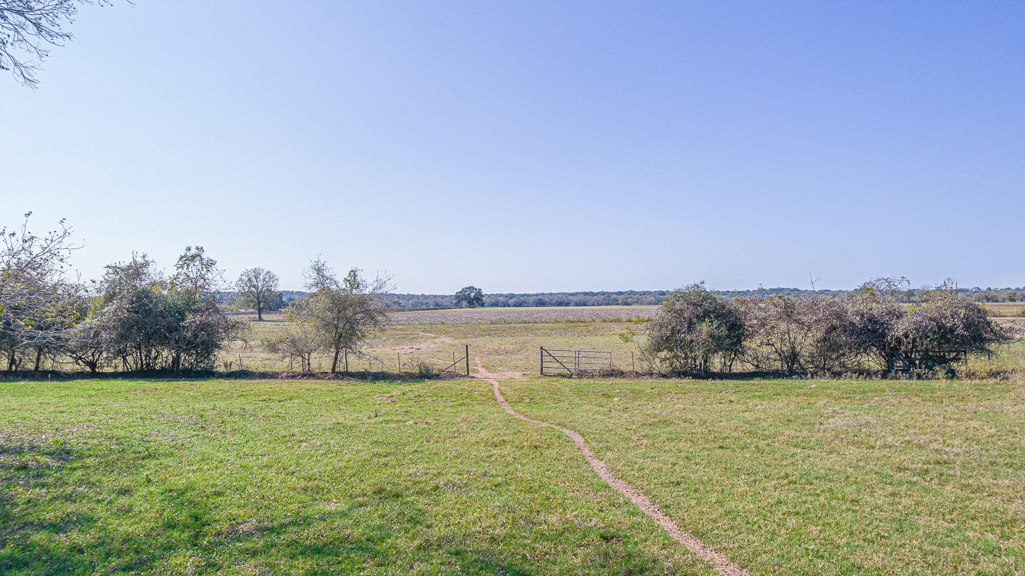 28-acres Shaws Bend Road Columbus, TX 78934 - Photo 9 of 22 a view of a lake with a yard