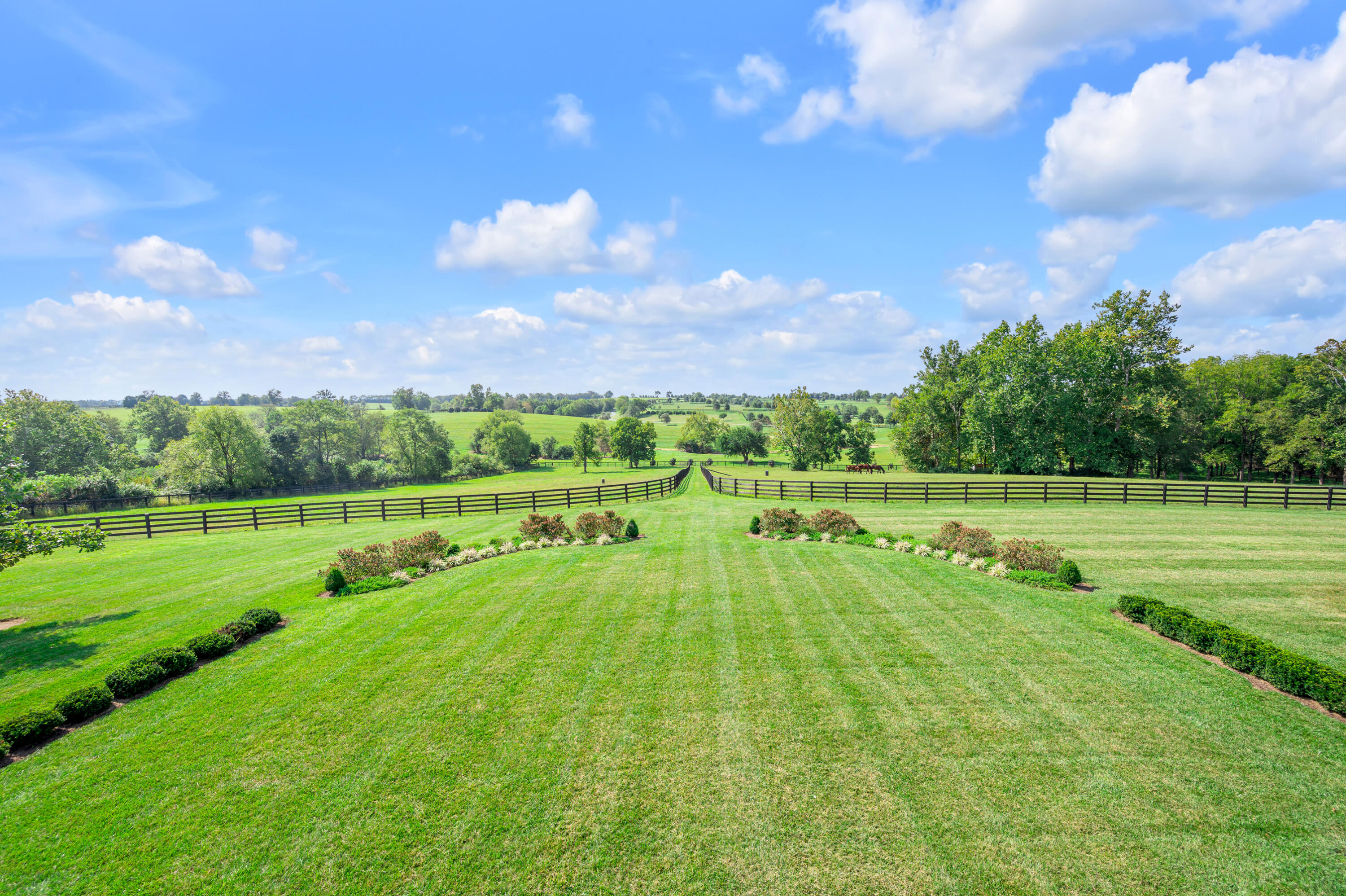 3038 Walnut Hill Road Lexington, KY 40515 - Photo 97 of 125 TDB_0751