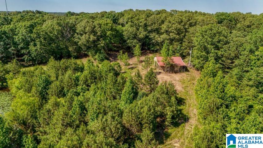 0 Jones Dairy Road Jasper, AL 35501 - Photo 13 of 14