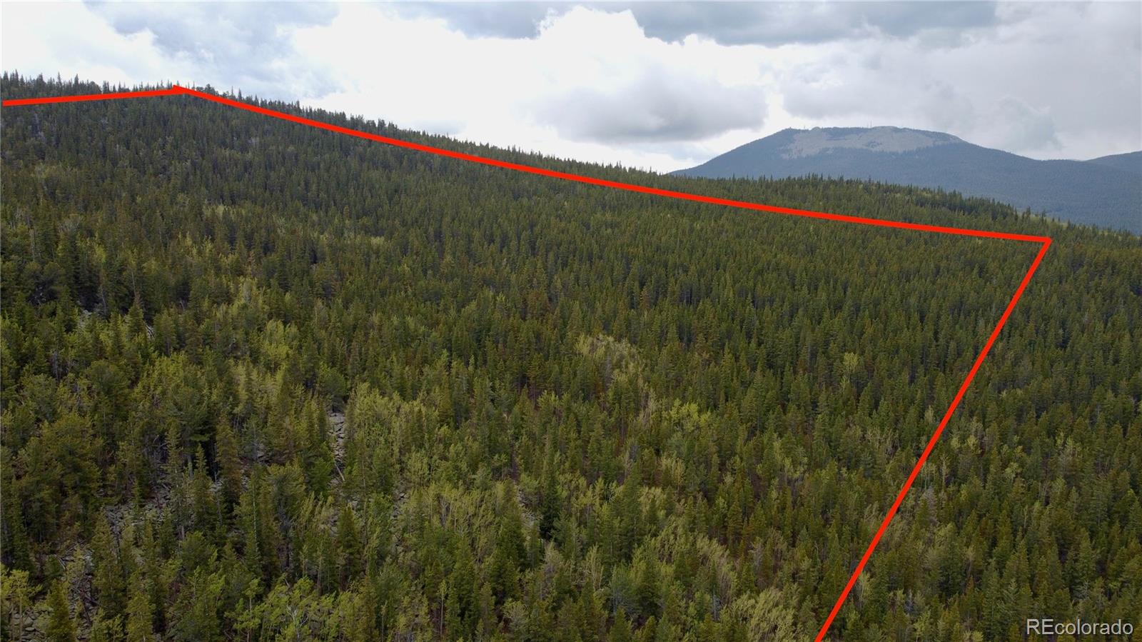 0 Hidden Wilderness Road Evergreen, CO 80439 - Photo 6 of 29