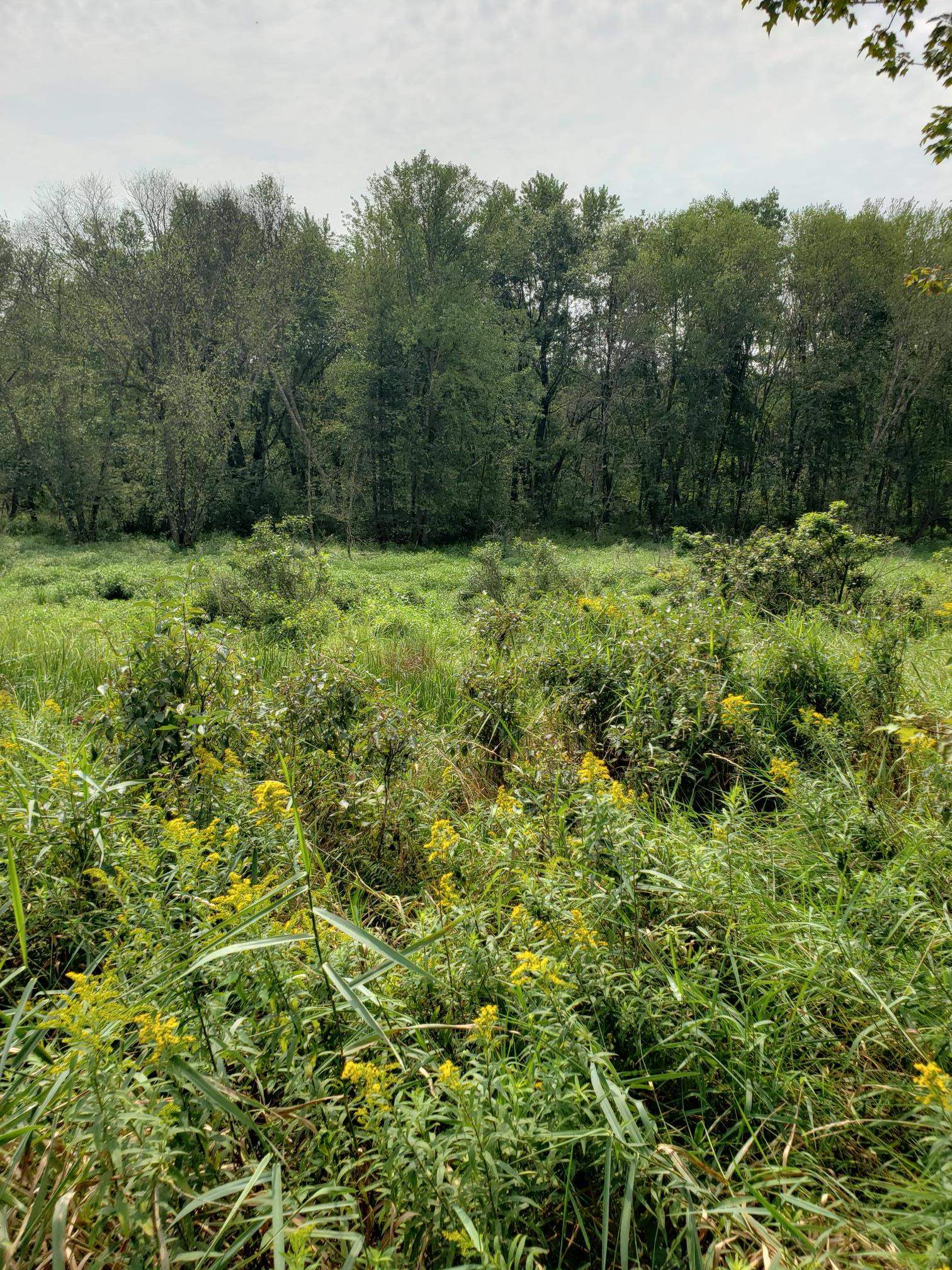 N7712 Church Road Portage, WI 53901 - Photo 22 of 44 Gallery Image 22