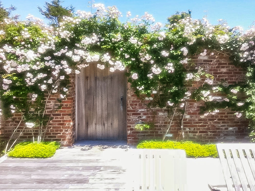 35 Shawkemo Road Nantucket, MA 02554 - Photo 26 of 53 a view of a back yard of the house and a yard