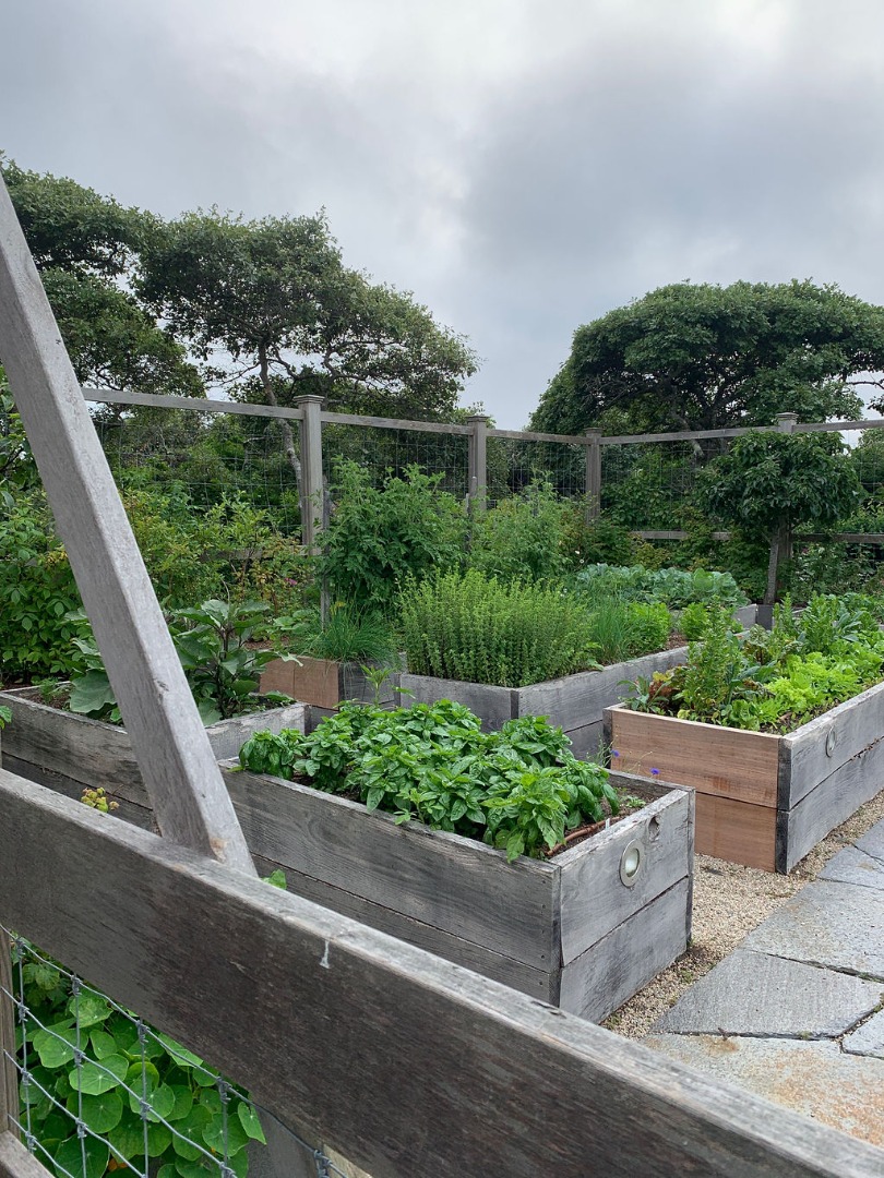 35 Shawkemo Road Nantucket, MA 02554 - Photo 43 of 53 a view of a garden