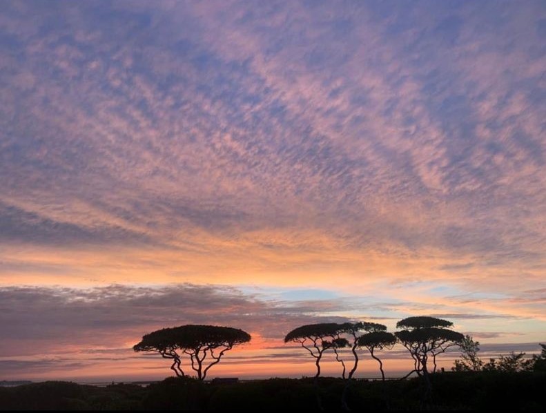 35 Shawkemo Road Nantucket, MA 02554 - Photo 46 of 53 a view of sunset view and ocean view