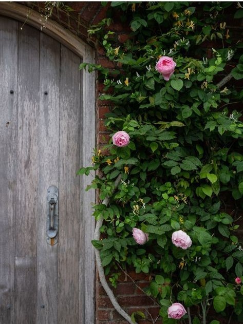 35 Shawkemo Road Nantucket, MA 02554 - Photo 47 of 53 a view of a wooden floor