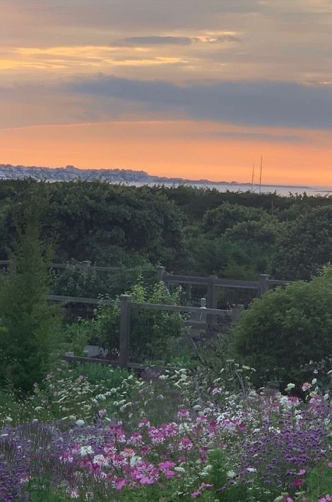 35 Shawkemo Road Nantucket, MA 02554 - Photo 51 of 53 a view of a city with lush green forest
