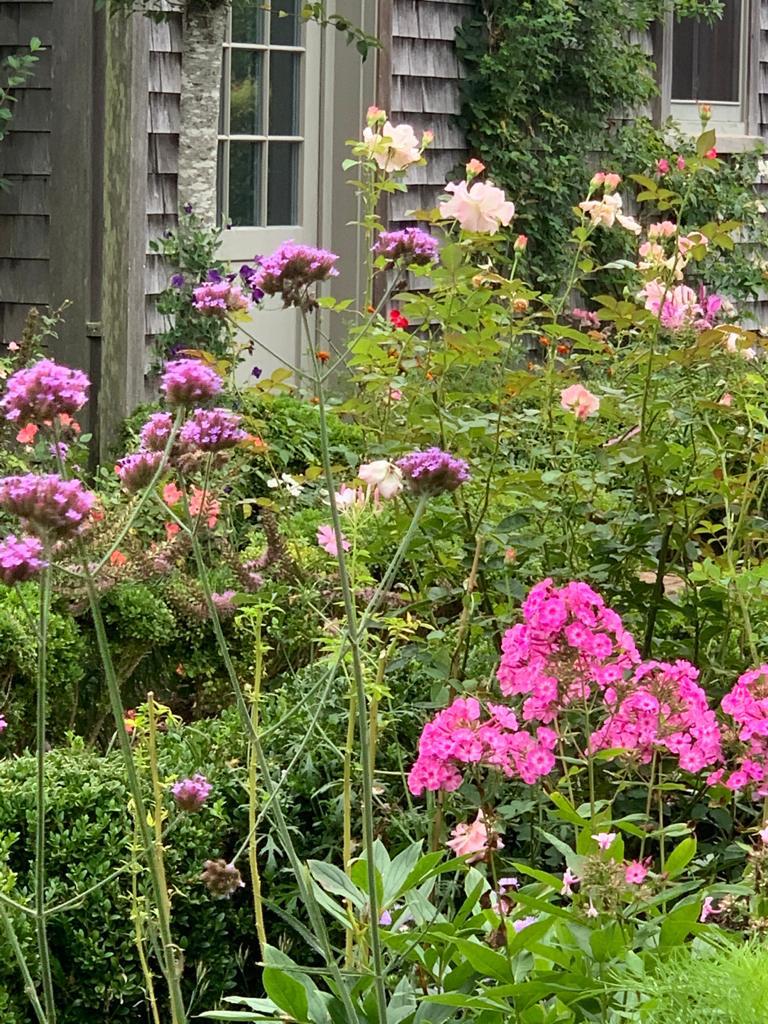 35 Shawkemo Road Nantucket, MA 02554 - Photo 8 of 53 a view of a flower in a garden