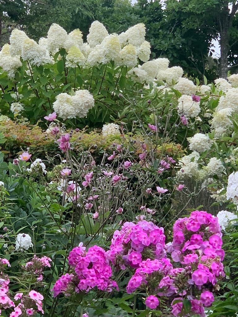 35 Shawkemo Road Nantucket, MA 02554 - Photo 9 of 53 a view of a flower in a flower in a garden