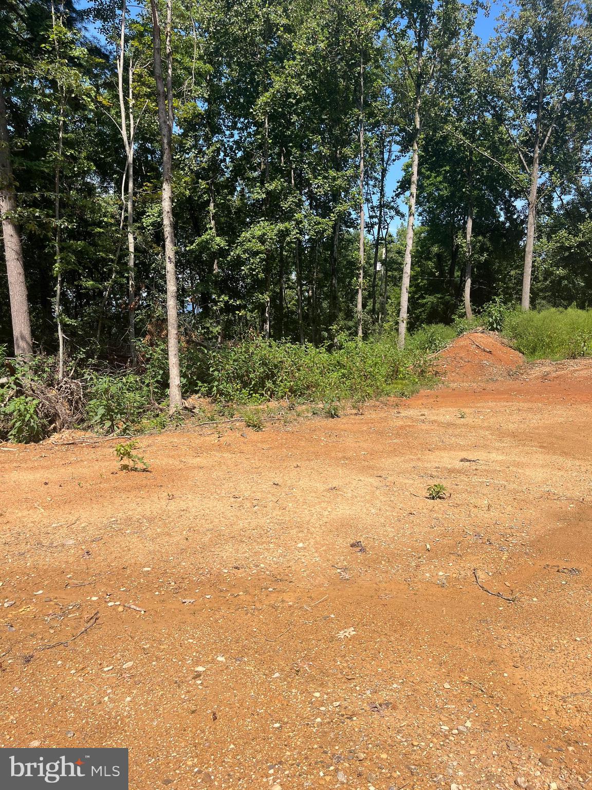 Tbd Dry Creek Road Luray, VA 22835 - Photo 2 of 6 a view of a yard with basketball court