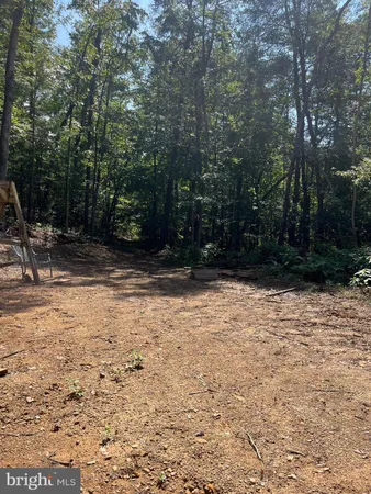 a view of backyard with large trees