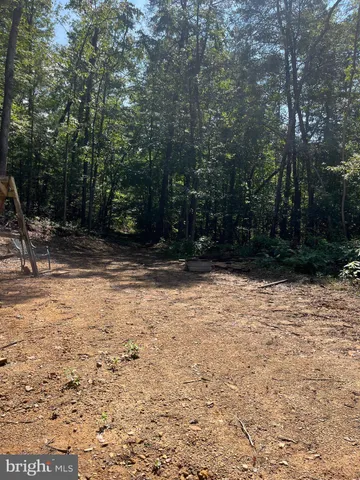a view of backyard with large trees