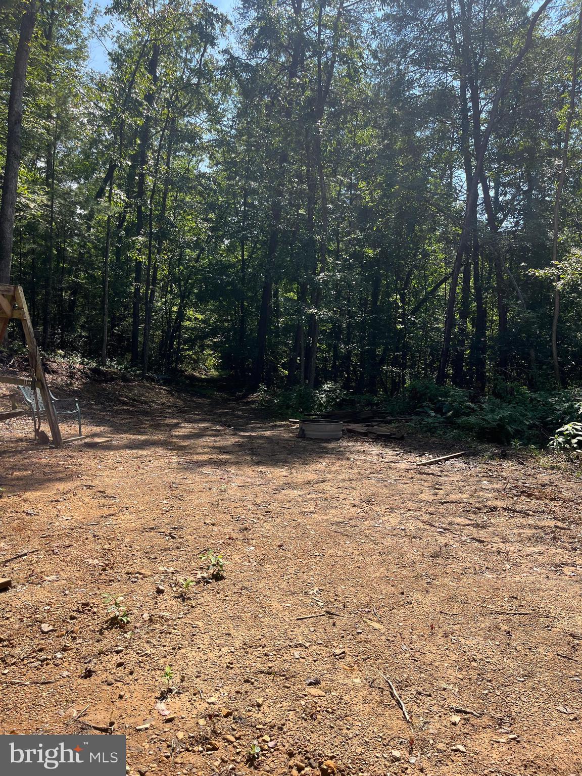 Tbd Dry Creek Road Luray, VA 22835 - Photo 3 of 6 a view of backyard with large trees