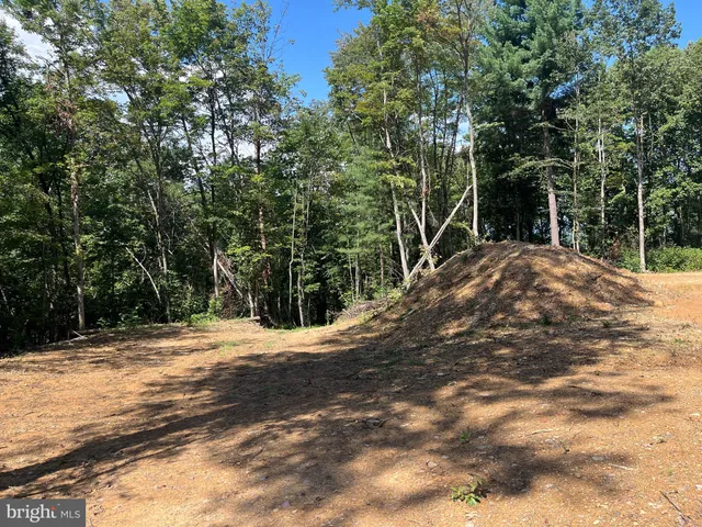 a view of a backyard of a house