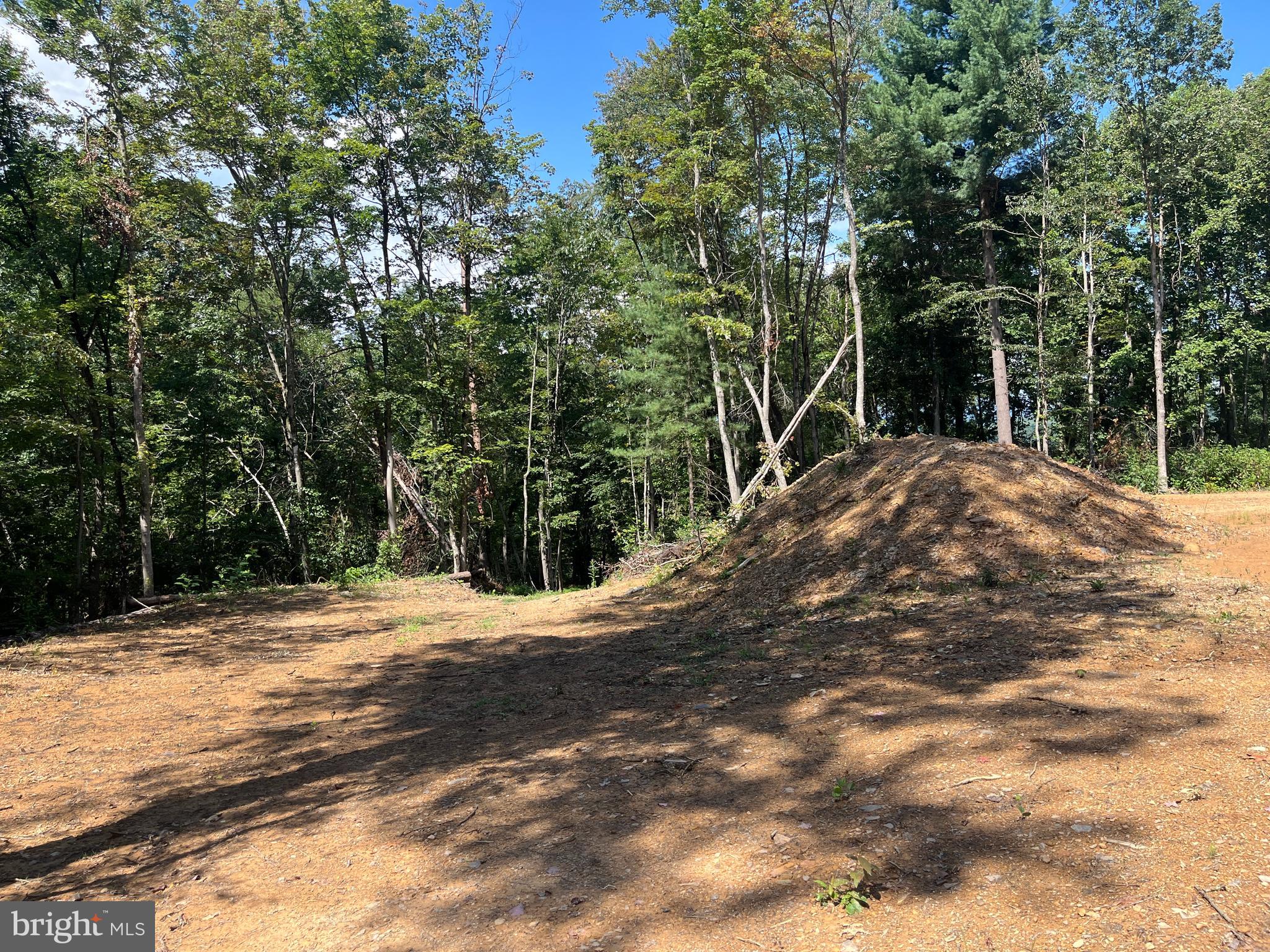 Tbd Dry Creek Road Luray, VA 22835 - Photo 5 of 6 a view of a backyard of a house