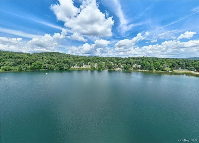 a view of a lake with houses in the back