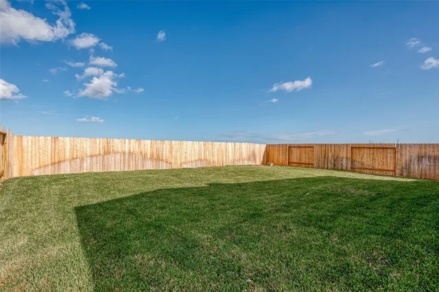 a view of a big yard with a large tree