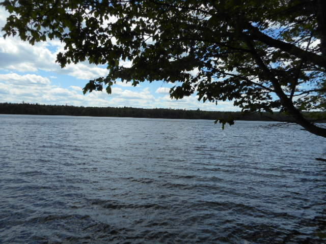 Tbd Lot 5 Tbd Road Cooper, ME 04657 - Photo 4 of 22 DSCN1498