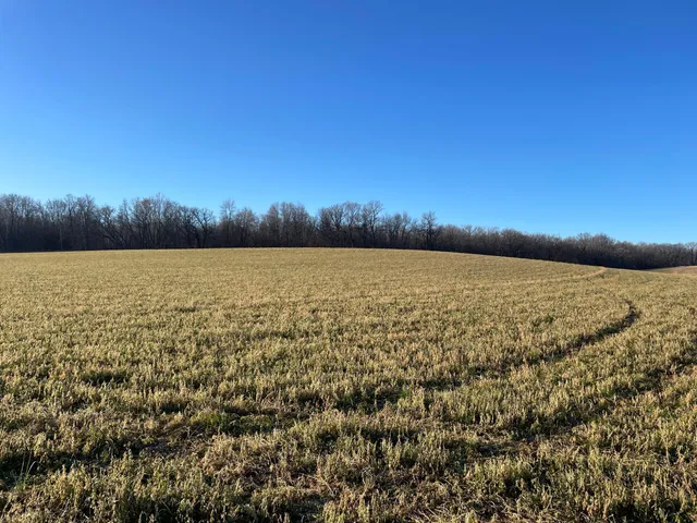 $175,000 | 1 Co Highway 1, Fertile, MN 56540