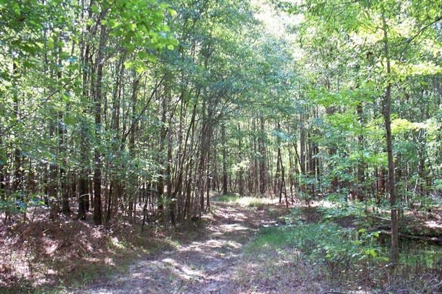 2931 Andrews Chapel Road Norwood, GA 30821 - Photo 18 of 41 Gallery Image 18