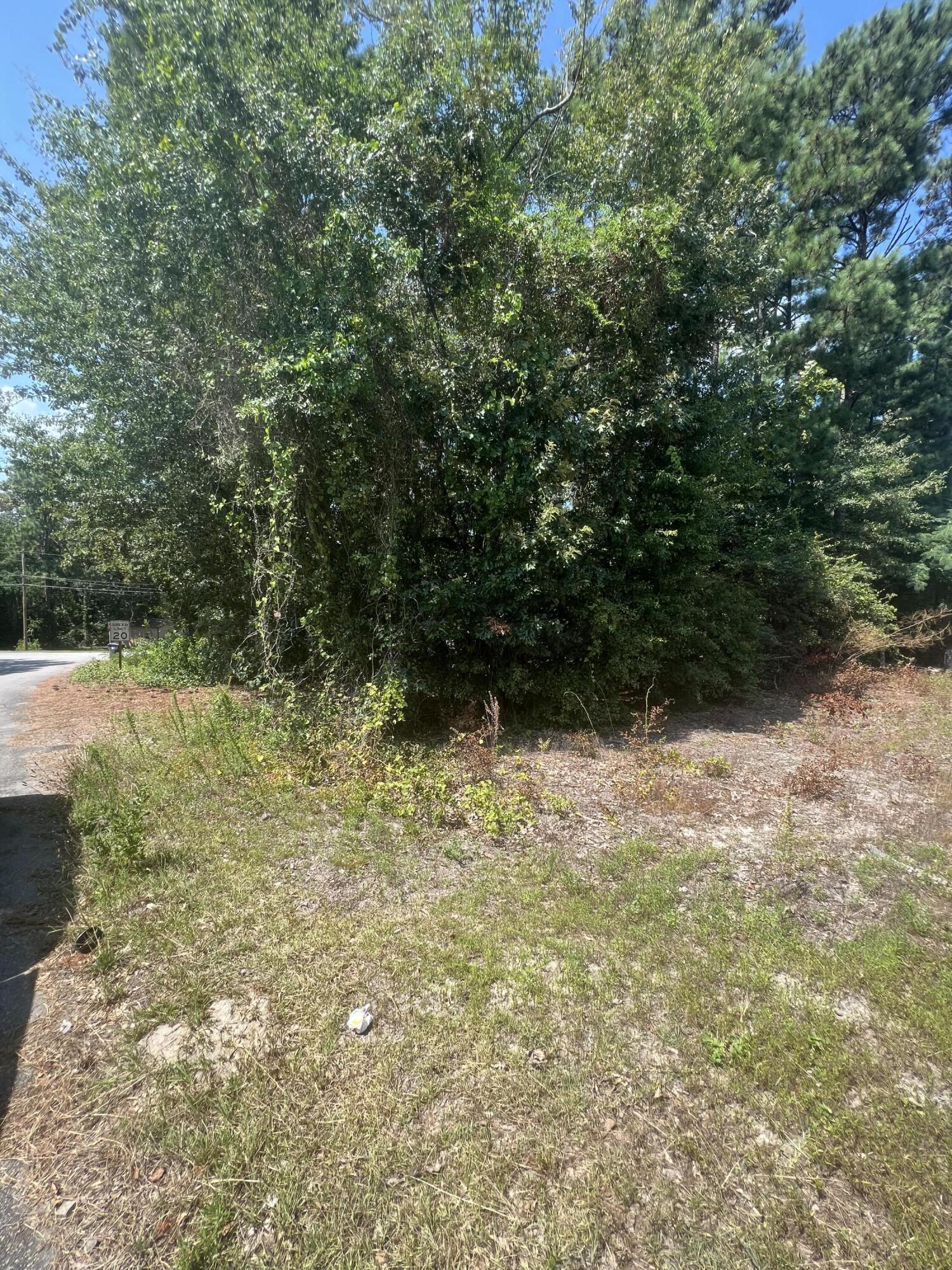 0 Emanuel Church Road Lexington, SC 29073 - Photo 3 of 6