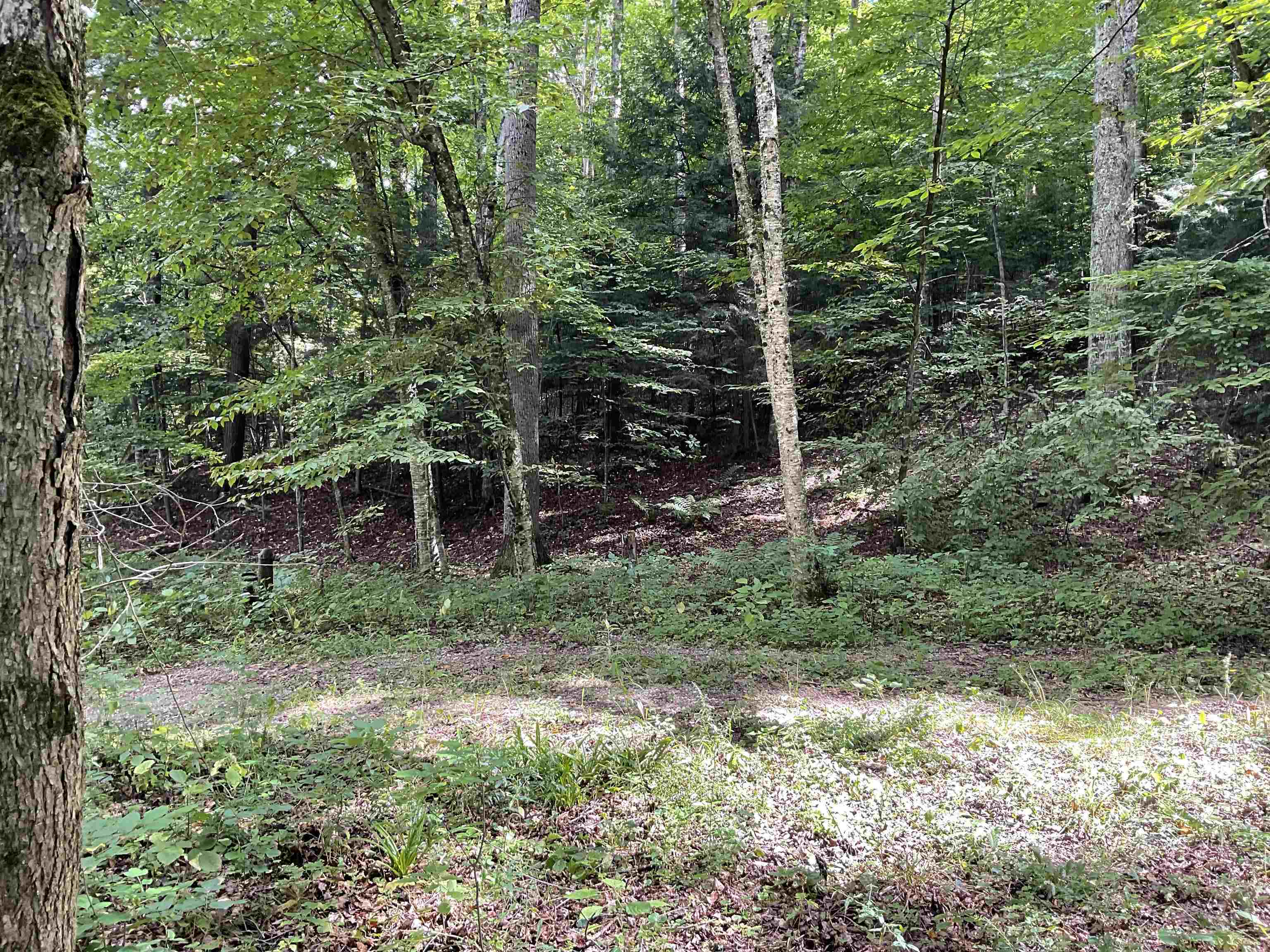 1575 North Setterbo Road Suttons Bay, MI 49682 - Photo 4 of 6
