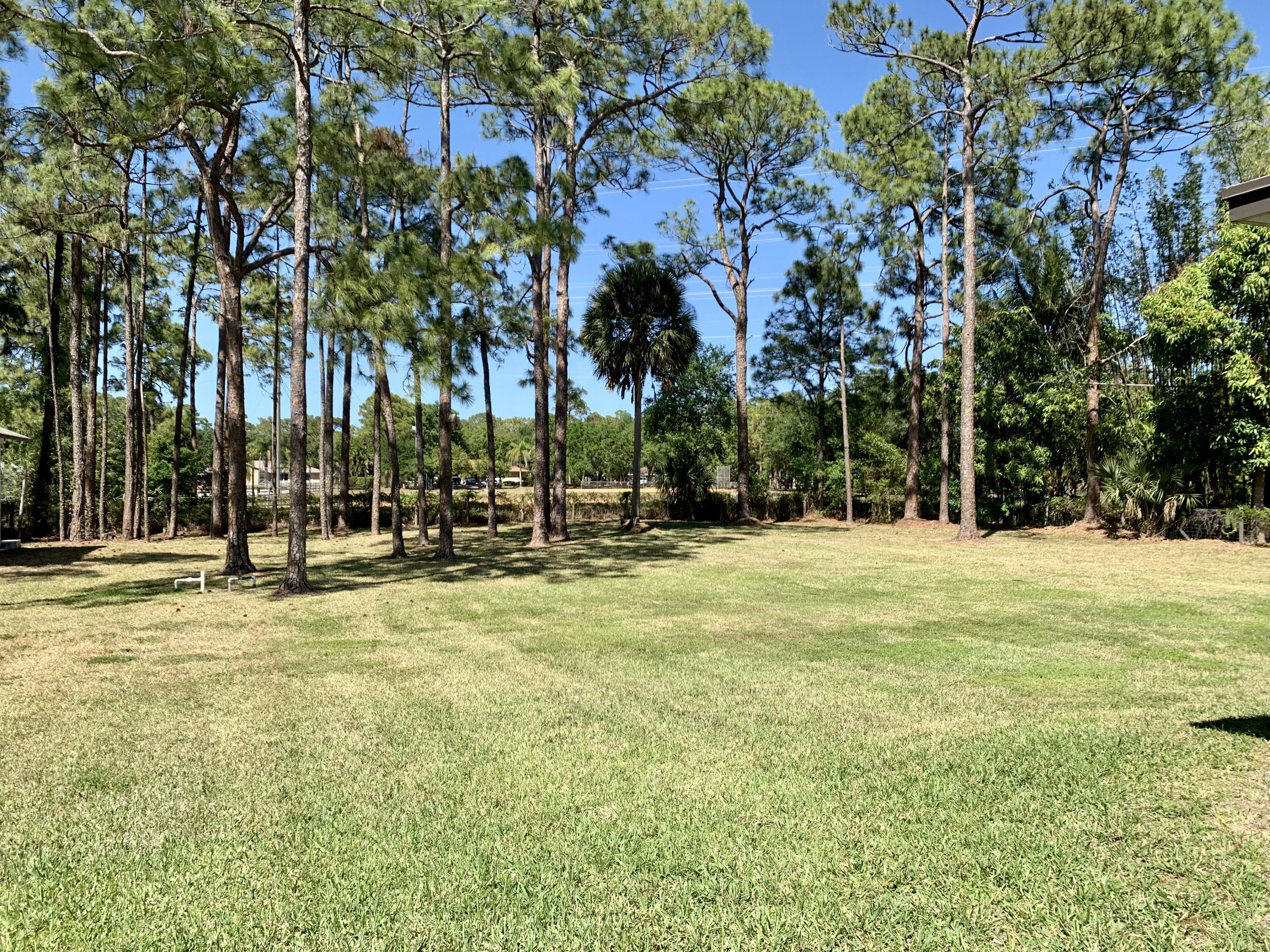 11853 47th Road North The Acreage, FL 33411 - Photo 16 of 22 Back Yard 5