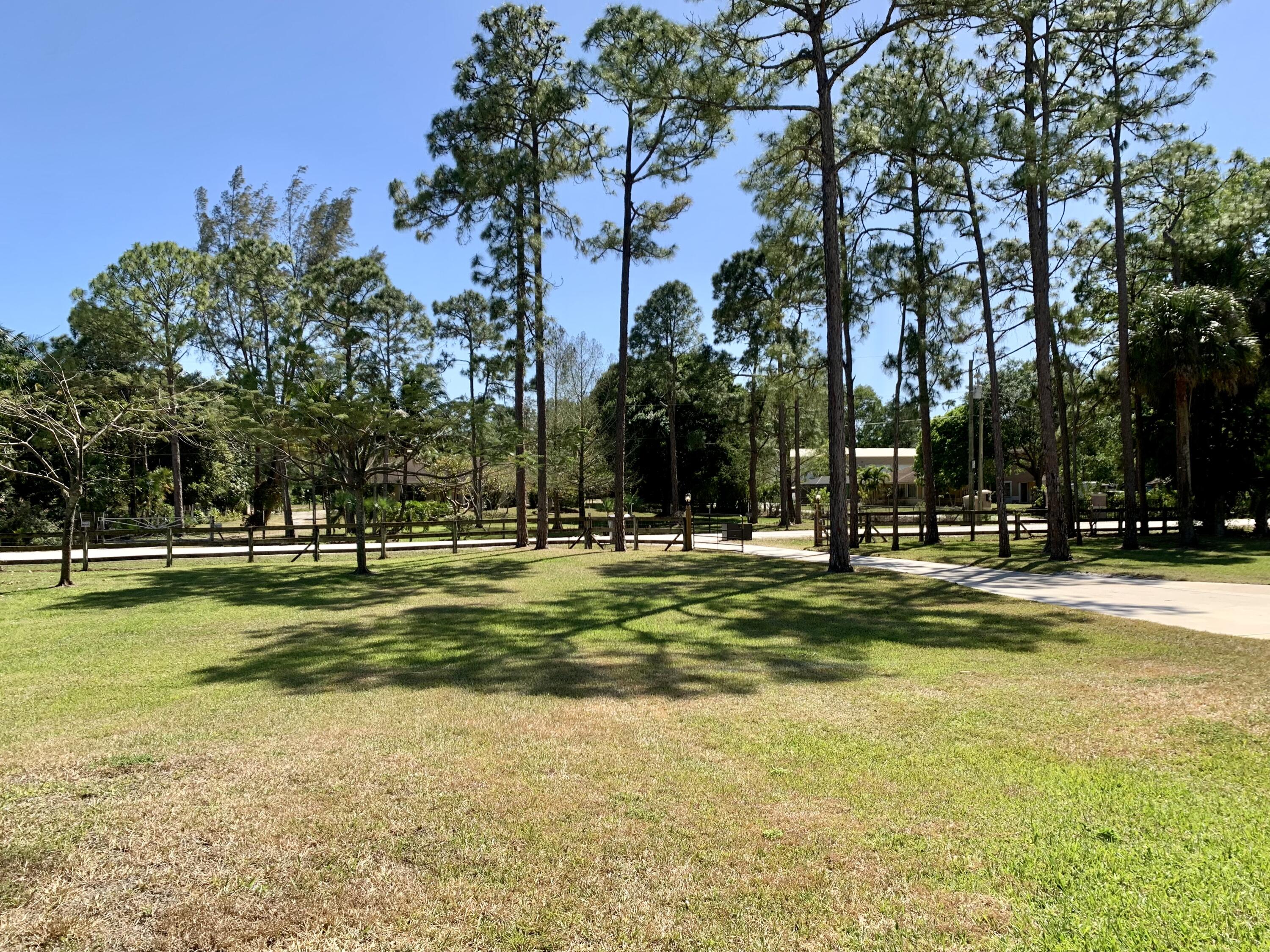 11853 47th Road North The Acreage, FL 33411 - Photo 4 of 22 Front Yard 11