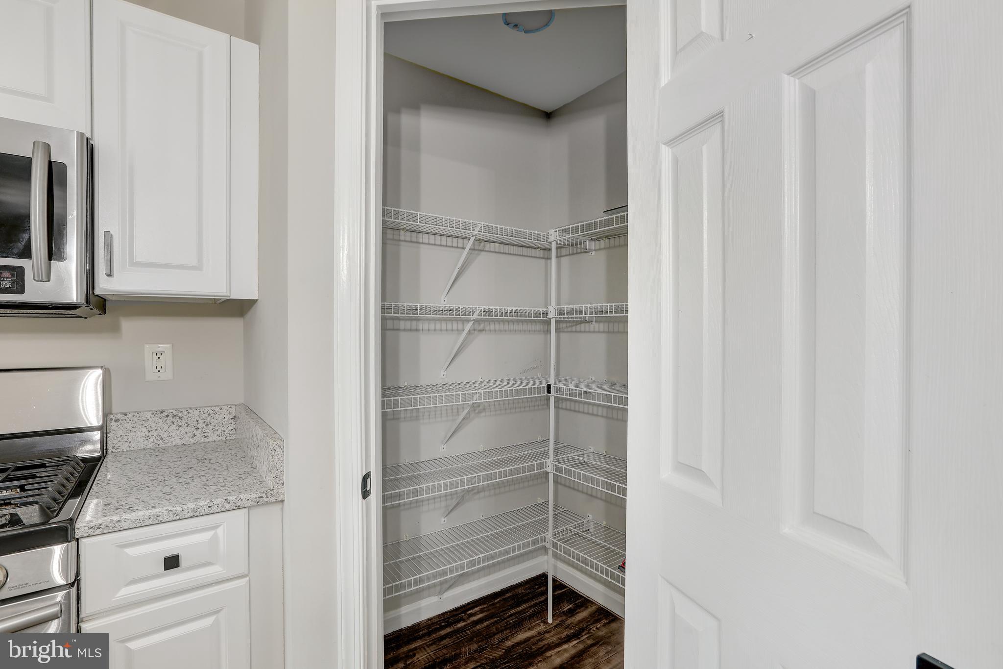 767 Shallow Ridge Court Abingdon, MD 21009 - Photo 11 of 51 Walk In Pantry