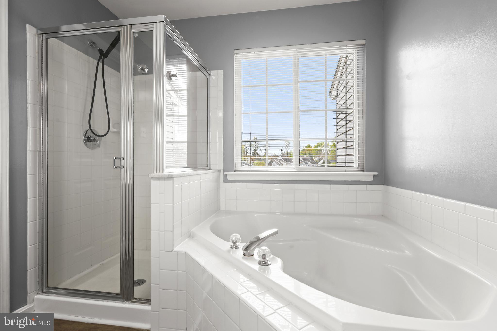 767 Shallow Ridge Court Abingdon, MD 21009 - Photo 26 of 51 Primary Bath