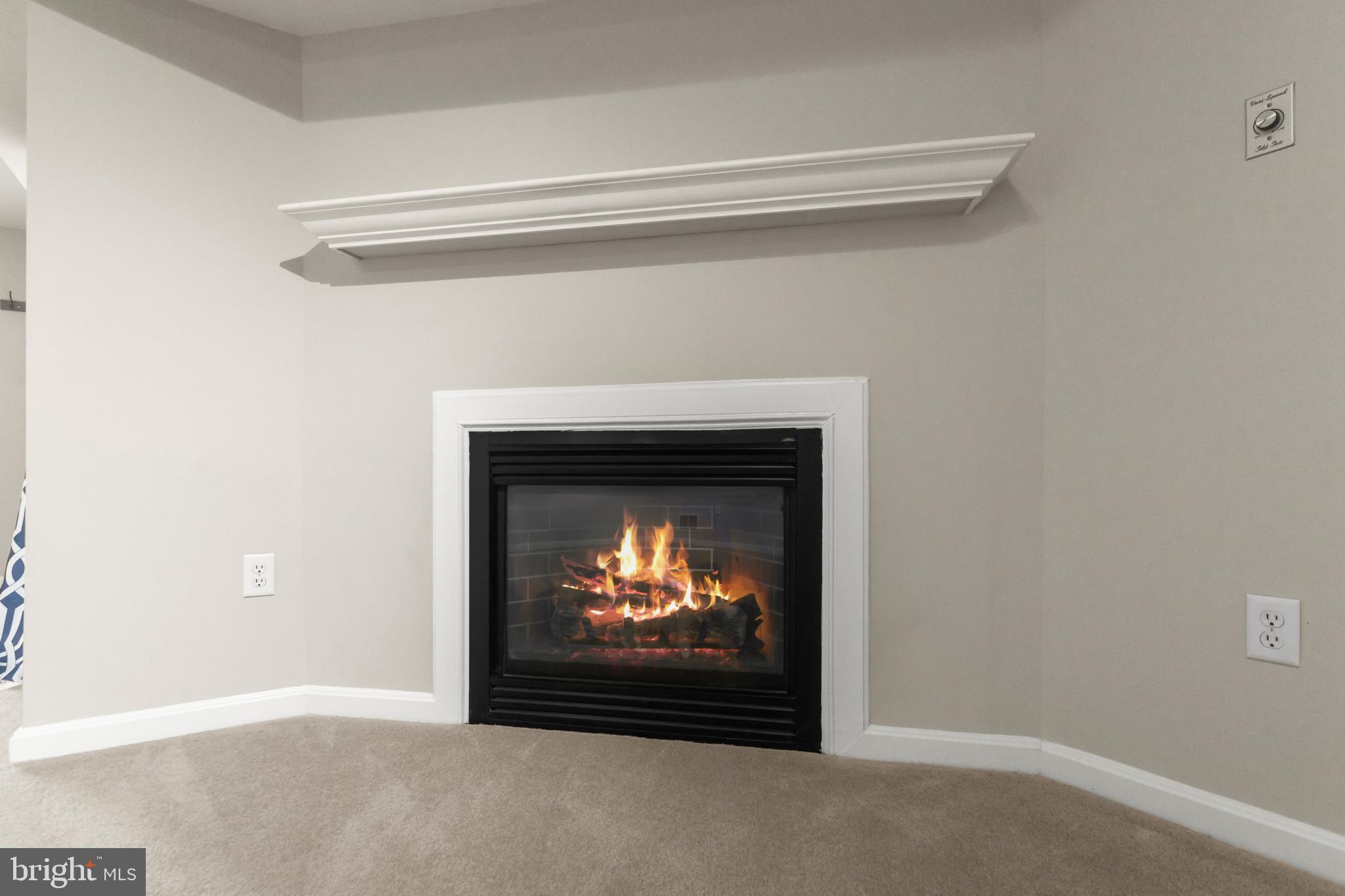 767 Shallow Ridge Court Abingdon, MD 21009 - Photo 33 of 51 Fireplace in Lower Level