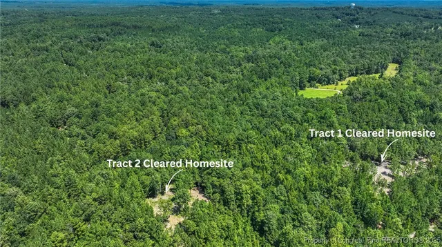 a view of a large yard with lots of bushes