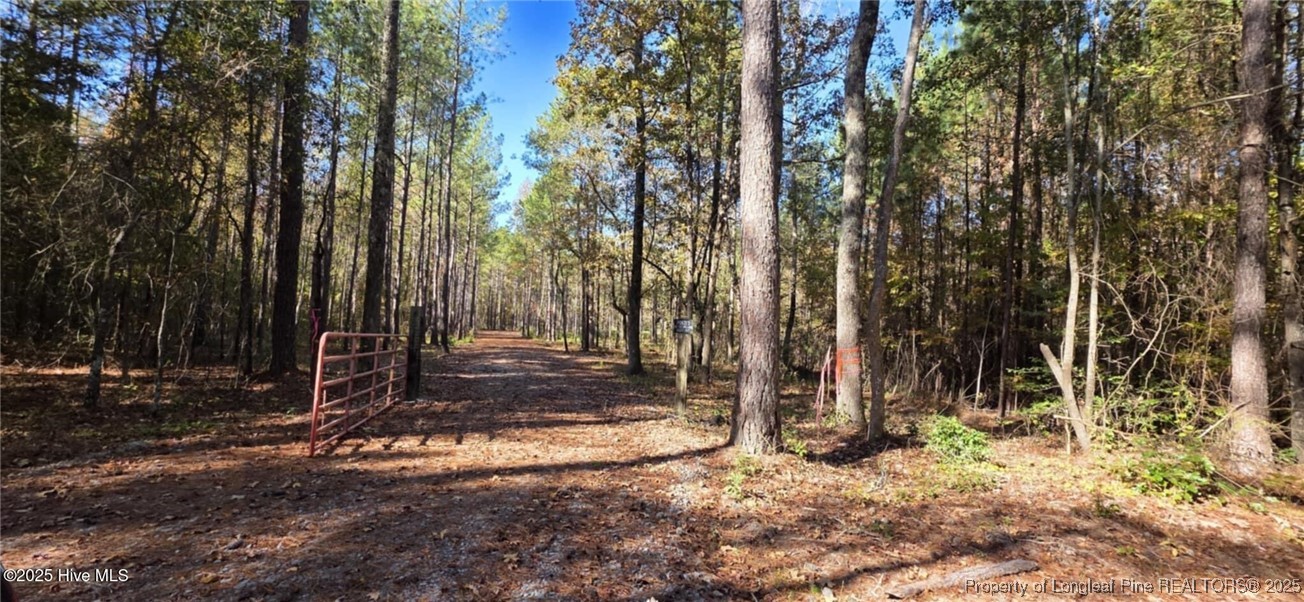 Cameron Hill Road Cameron, NC 28326 - Photo 2 of 12 a view of a park with large trees