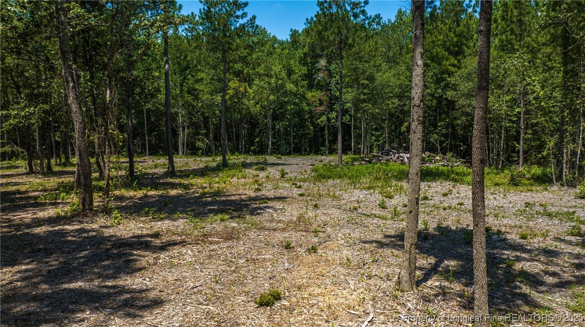 Cameron Hill Road Cameron, NC 28326 - Photo 4 of 12 a view of a yard with a tree