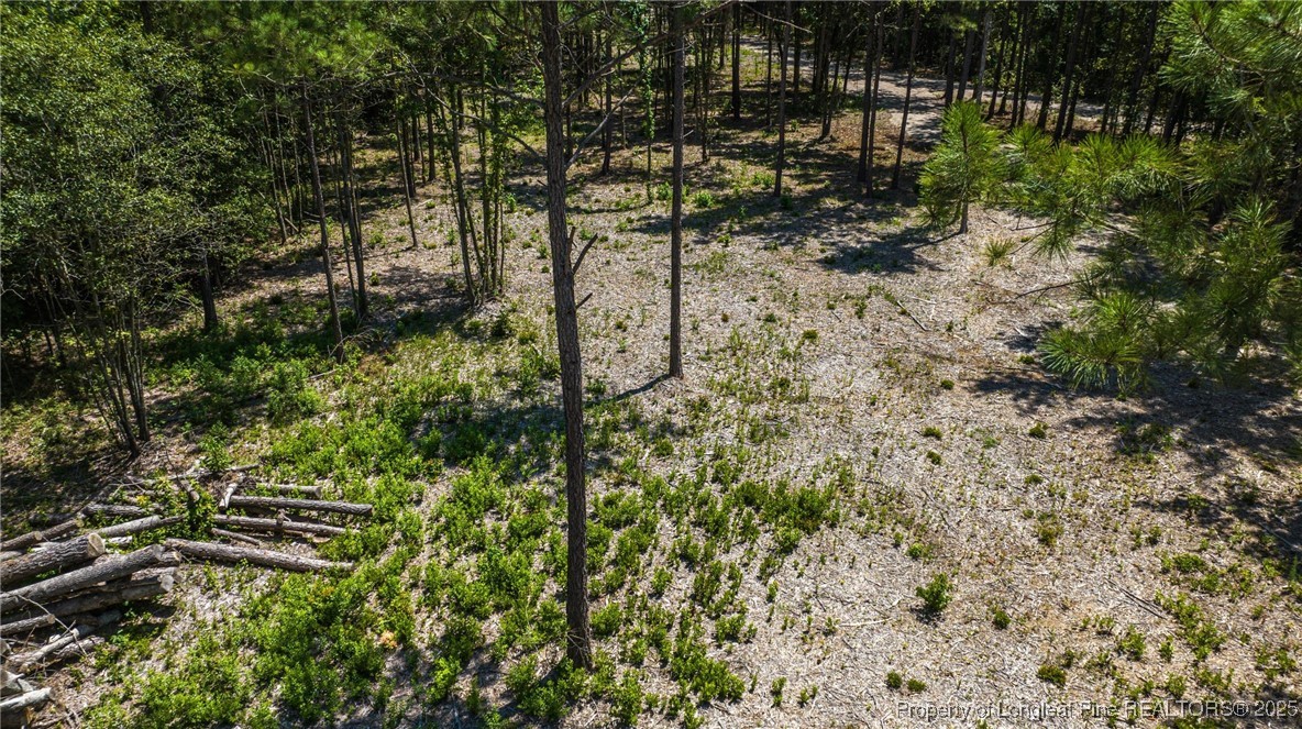 Cameron Hill Road Cameron, NC 28326 - Photo 5 of 12 a view of a yard with plants and large trees