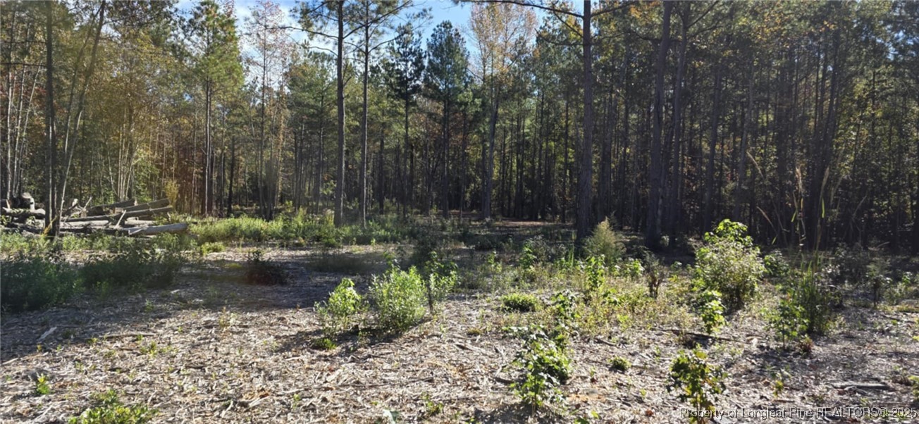 Cameron Hill Road Cameron, NC 28326 - Photo 7 of 12 a backyard of a house with lots of green space and trees