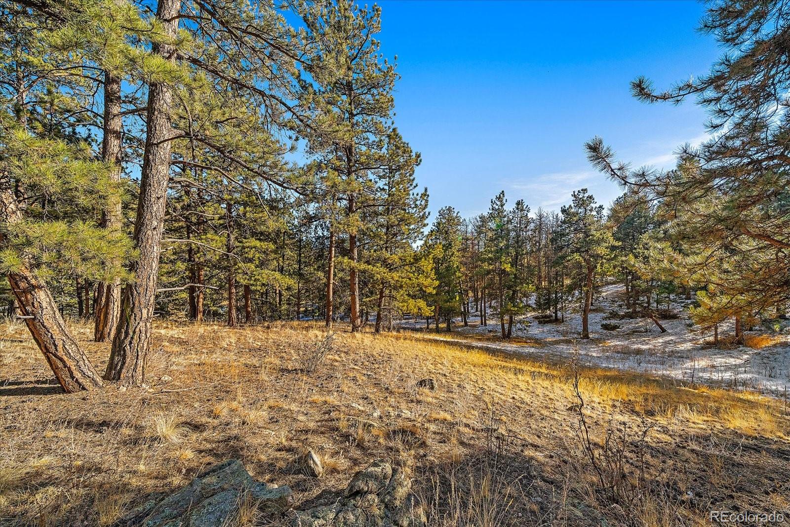0 Fish Pond Way Pine Pine, CO 80470 - Photo 3 of 16 a view of yard with trees