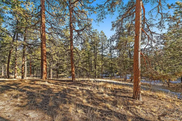 a view of outdoor space with trees