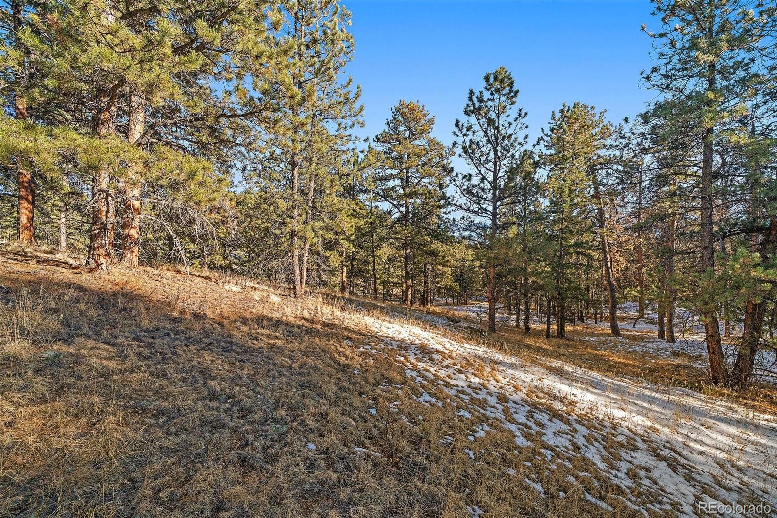 0 Fish Pond Way Pine Pine, CO 80470 - Photo 5 of 16 a view of road with trees