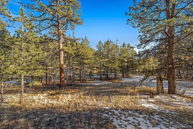 a view of dirt yard with a large tree