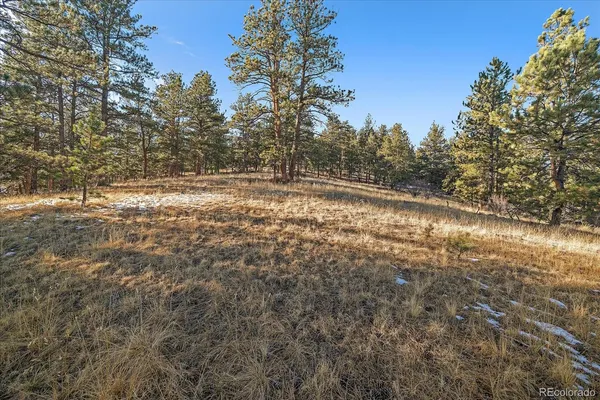 a view of dirt field with trees in the background