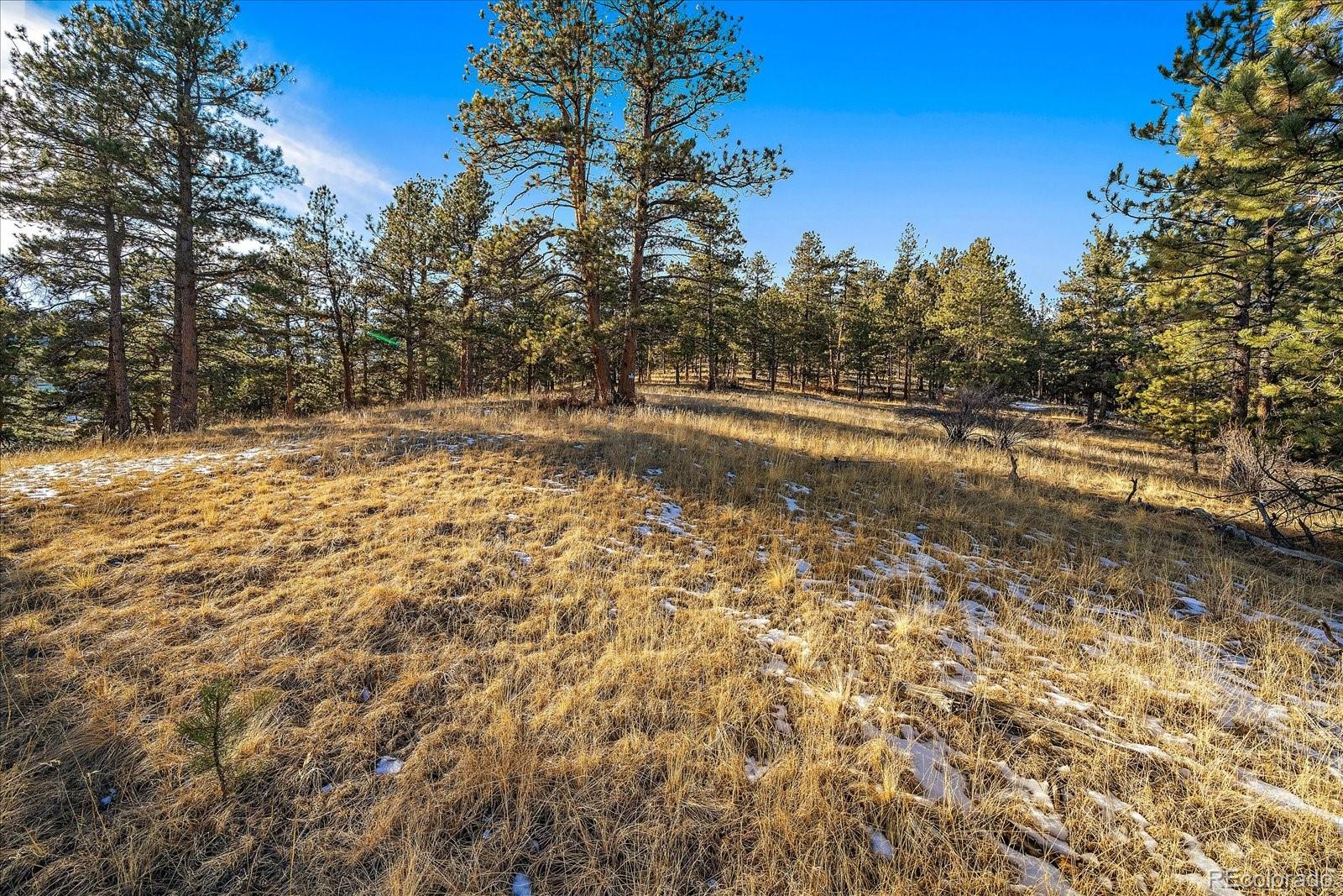 0 Fish Pond Way Pine Pine, CO 80470 - Photo 10 of 16 a view of yard with trees