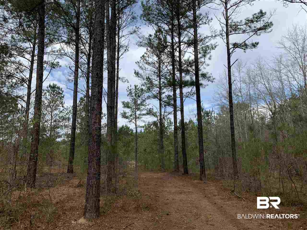 0 Sexton Brg Road Luverne, AL 36049 - Photo 40 of 50