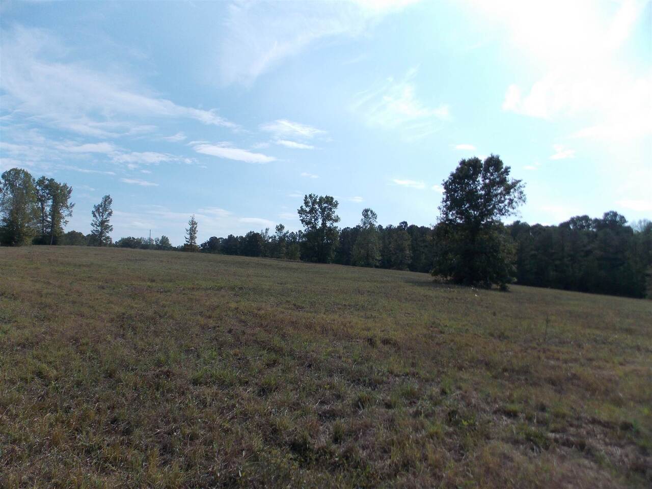 0 Ellis Road Monticello, GA 31064 - Photo 1 of 1