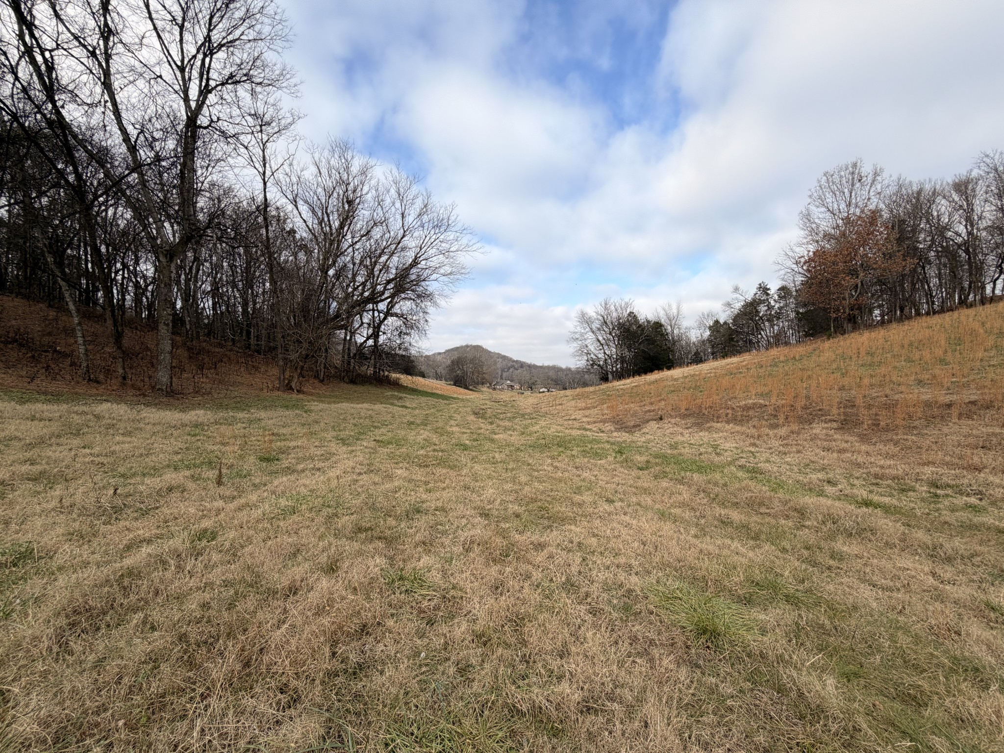 7 Crooked Hill Road North Pulaski, TN 38478 - Photo 11 of 13 a backyard of a house with large trees