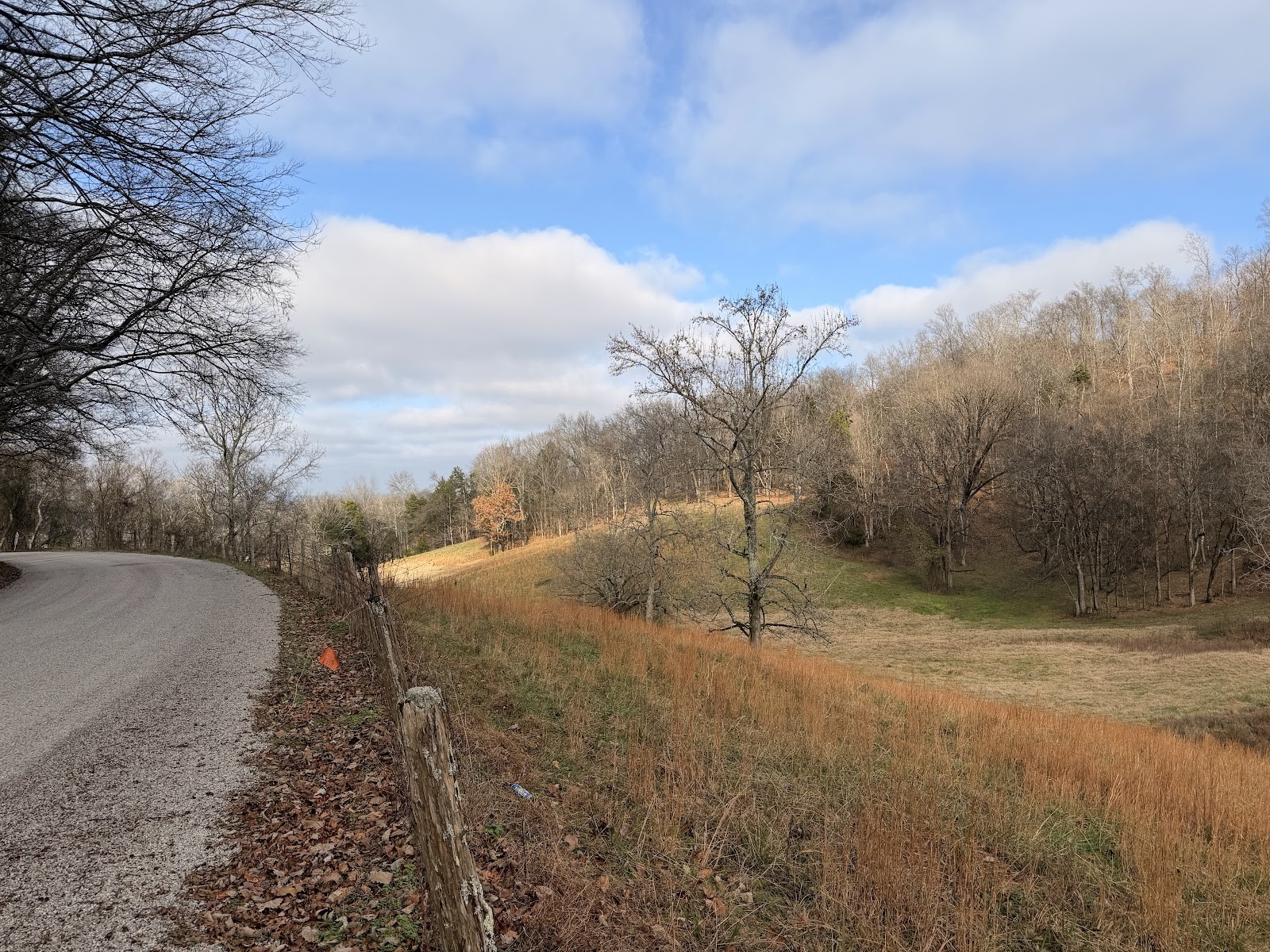 7 Crooked Hill Road North Pulaski, TN 38478 - Photo 2 of 13 a view of a yard with a tree