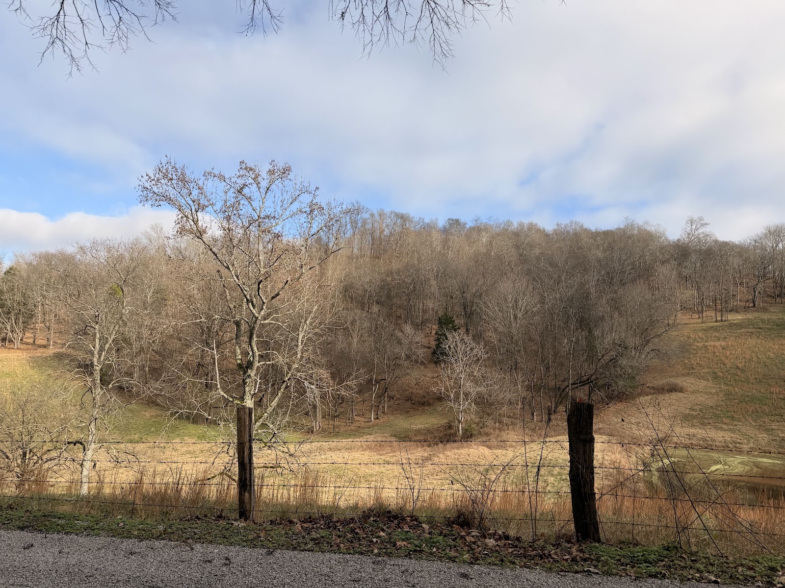 7 Crooked Hill Road North Pulaski, TN 38478 - Photo 3 of 13 a view of a yard with mountain