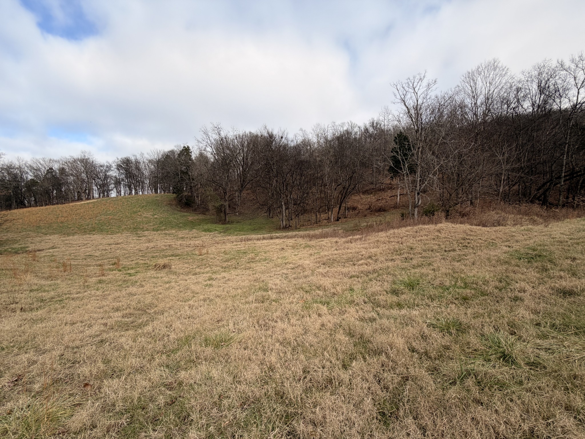 7 Crooked Hill Road North Pulaski, TN 38478 - Photo 4 of 13 a view of dirt field with trees in the background