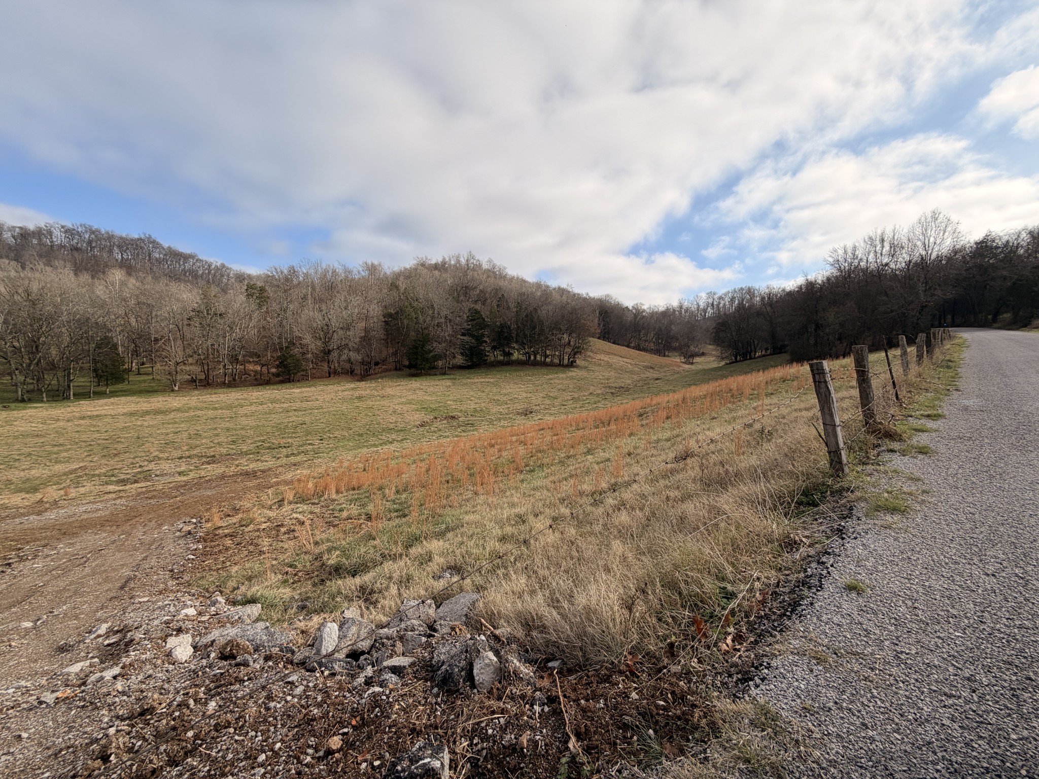7 Crooked Hill Road North Pulaski, TN 38478 - Photo 5 of 13 a view of dirt yard with mountain