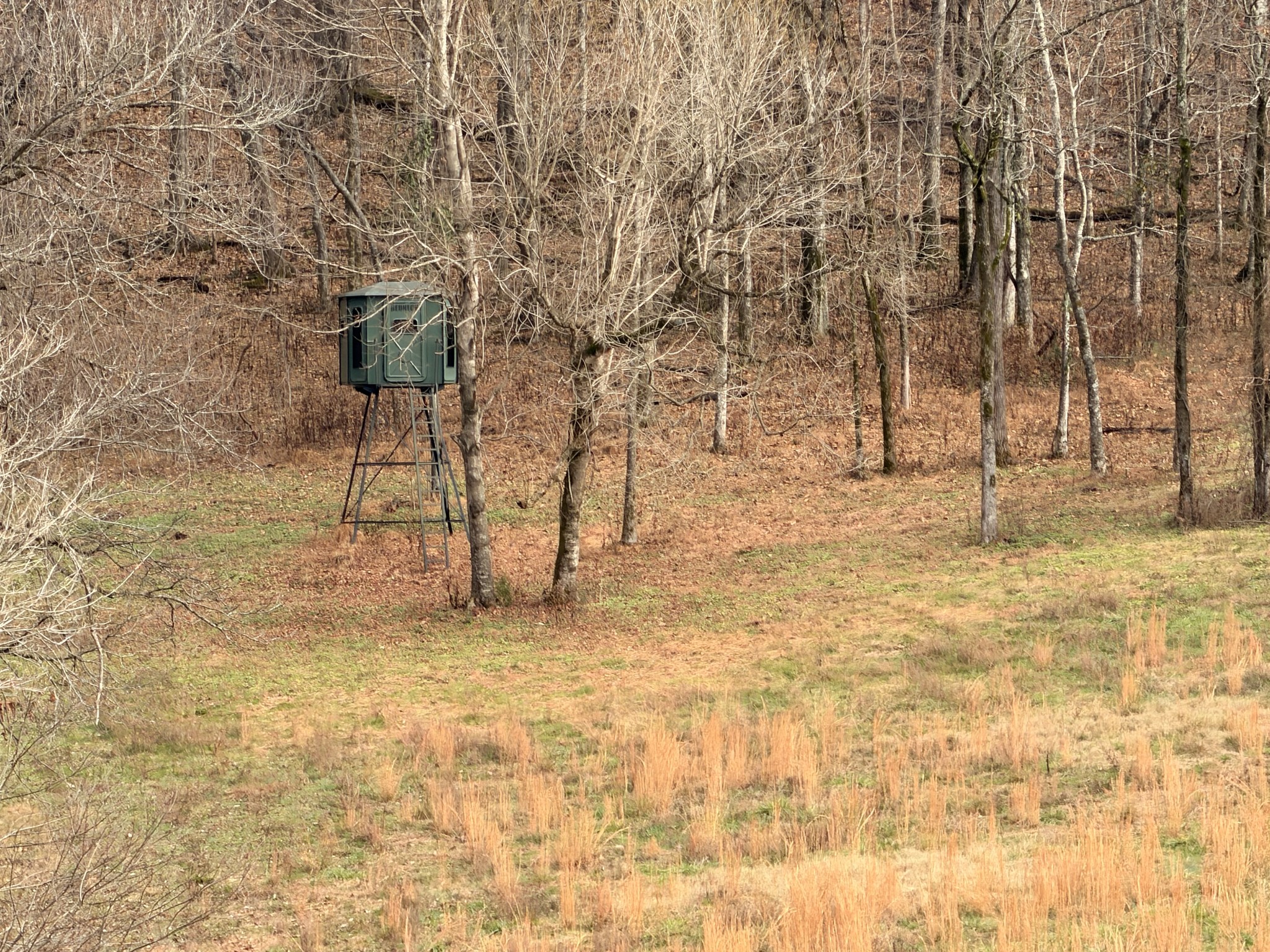 7 Crooked Hill Road North Pulaski, TN 38478 - Photo 8 of 13 a view of empty space with trees