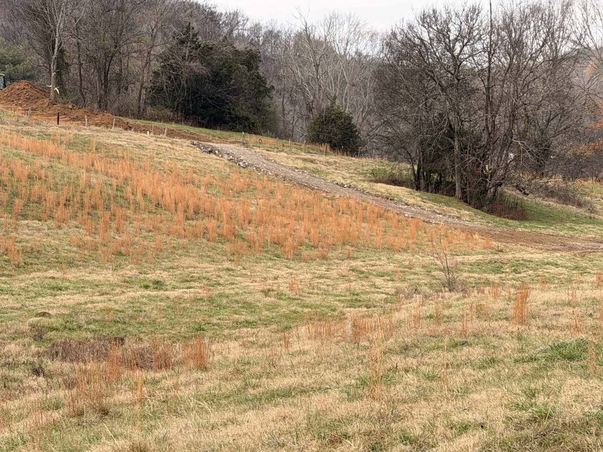 7 Crooked Hill Road North Pulaski, TN 38478 - Photo 9 of 13 a view of a yard covered with snow